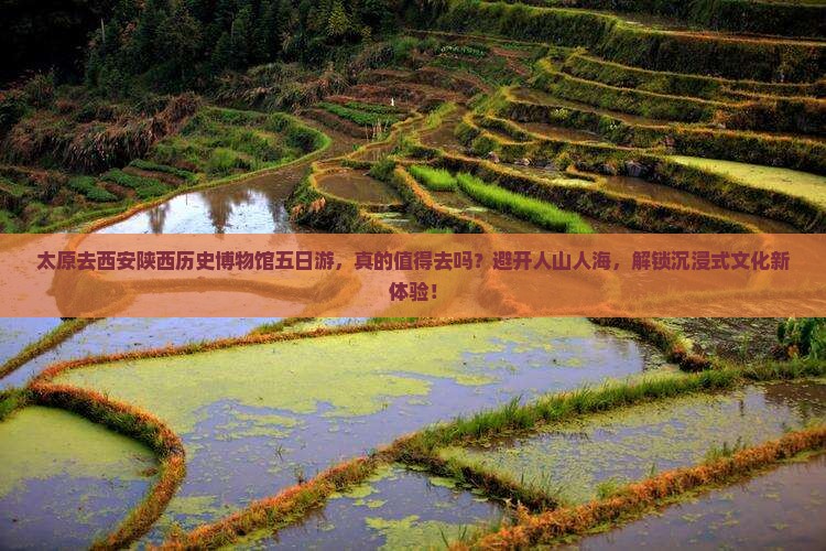 太原去西安陕西历史博物馆五日游