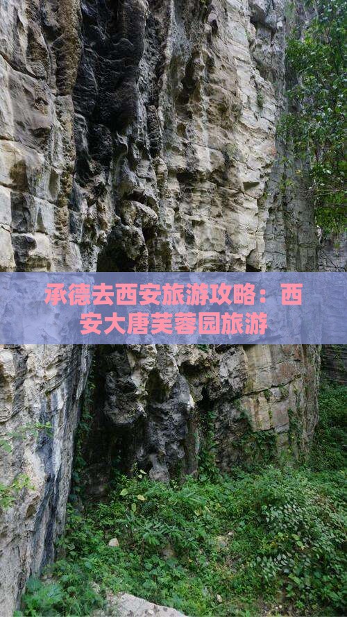 承德去西安大唐芙蓉园旅游