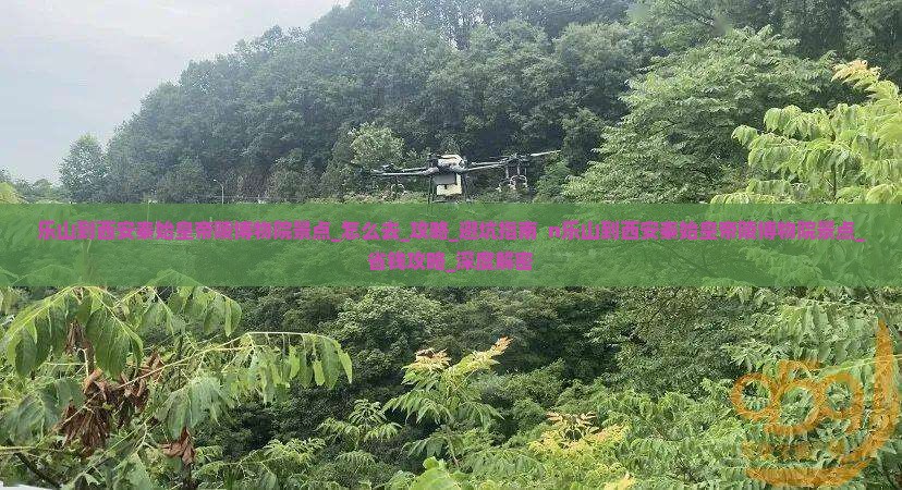 乐山到西安秦始皇帝陵博物院景点