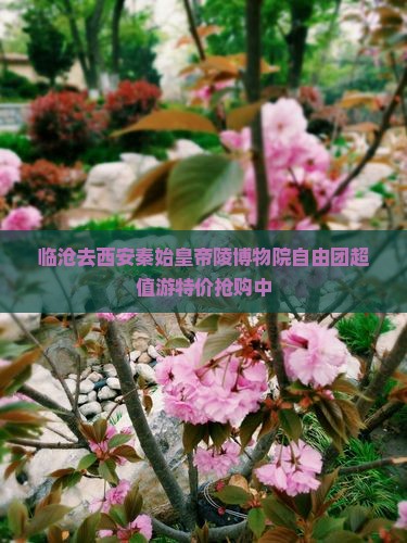 临沧去西安秦始皇帝陵博物院自由团