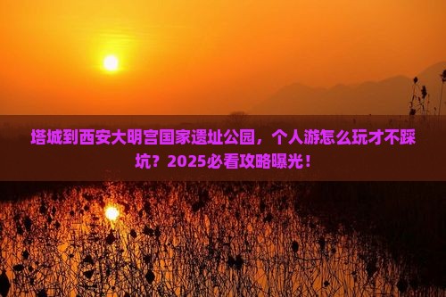 塔城到西安大明宫国家遗址公园个人游