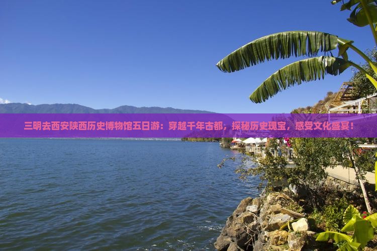 三明去西安陕西历史博物馆五日游