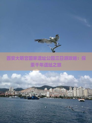 诸城到西安大明宫国家遗址公园三日游