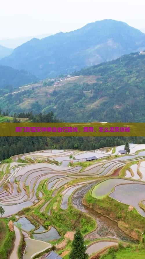 厦门到西安钟楼自由行