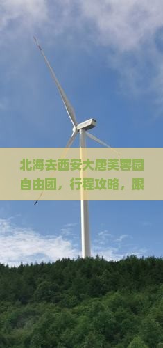北海去西安大唐芙蓉园自由团