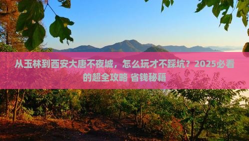 玉林去西安大唐不夜城哪里玩