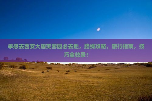 孝感去西安大唐芙蓉园必去地