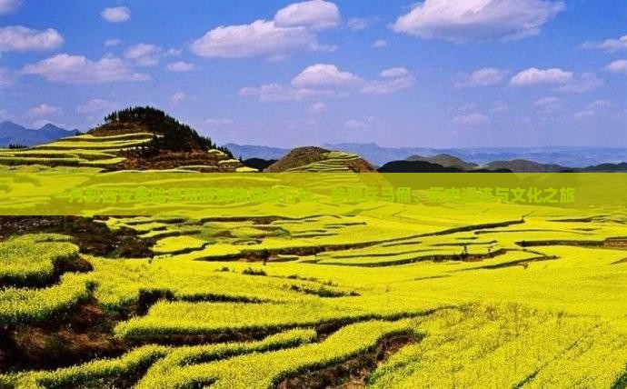 一月到西安秦始皇帝陵博物院旅行社
