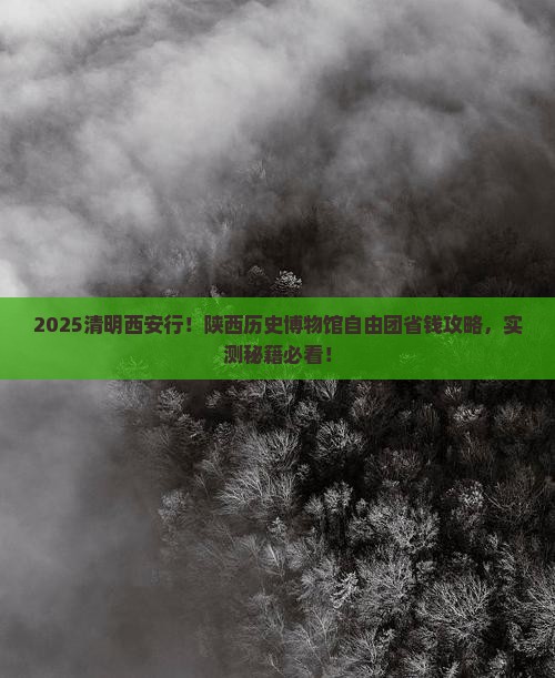 清明节到西安陕西历史博物馆自由团