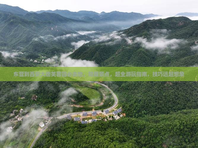东营到西安大唐芙蓉园必去地