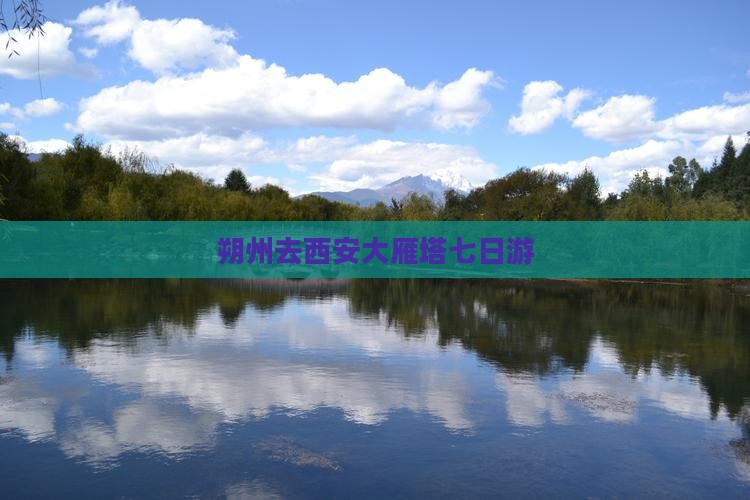 朔州去西安大雁塔七日游