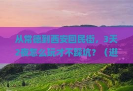 常德到西安回民街旅游
