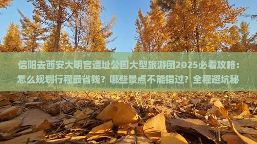 信阳去西安大明宫国家遗址公园大型旅游团