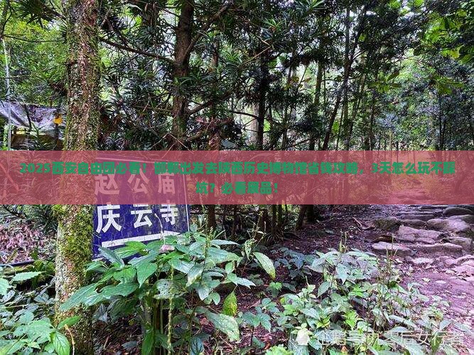 邯郸去西安陕西历史博物馆自由团