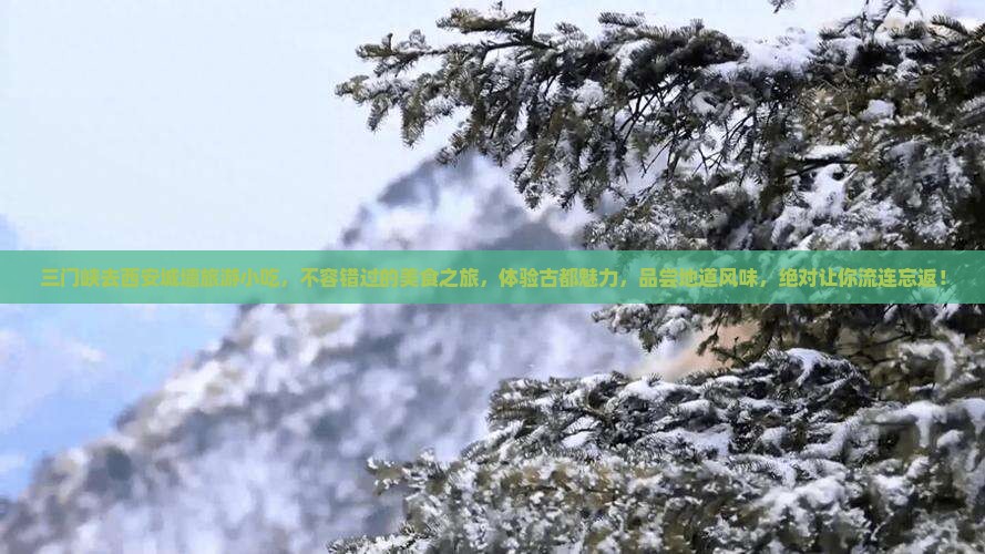 三门峡去西安城墙旅游小吃