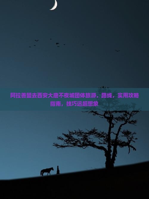 阿拉善盟去西安大唐不夜城团体旅游