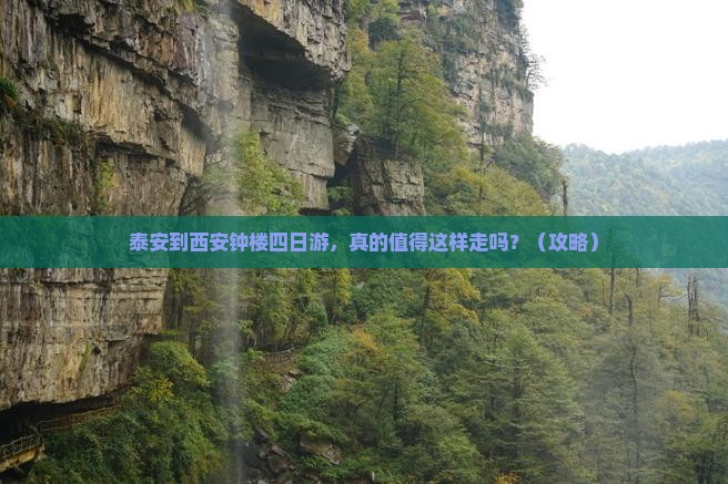 泰安到西安钟楼四日游