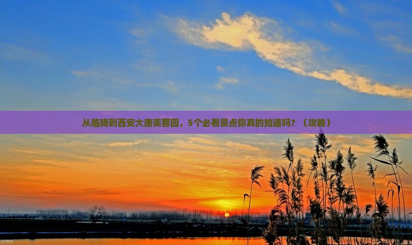 临猗到西安大唐芙蓉园旅行社