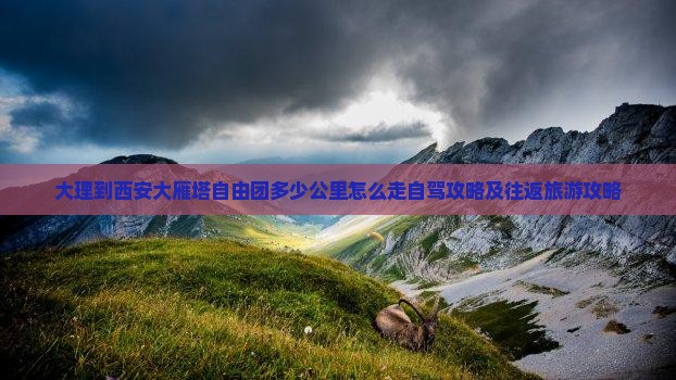 大理到西安大雁塔自由团