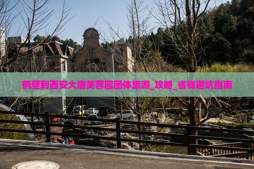 鹤壁到西安大唐芙蓉园团体旅游