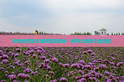 德州去西安大唐芙蓉园自由团