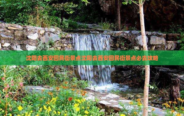 沈阳去西安回民街景点