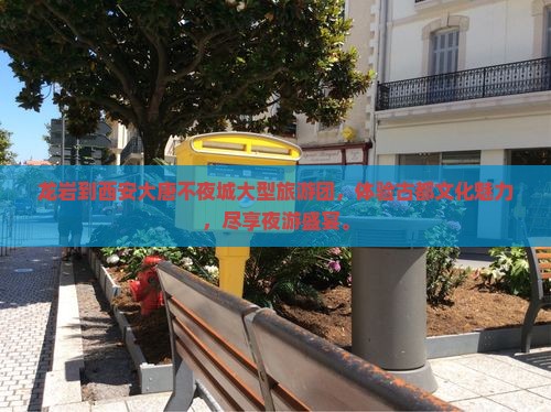 龙岩到西安大唐不夜城大型旅游团
