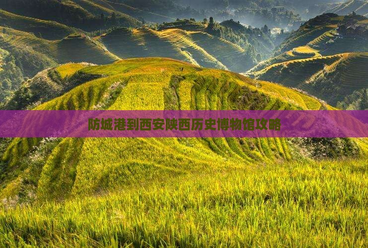 防城港到西安陕西历史博物馆攻略