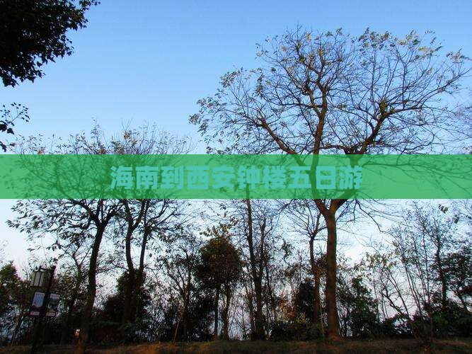 海南到西安钟楼五日游