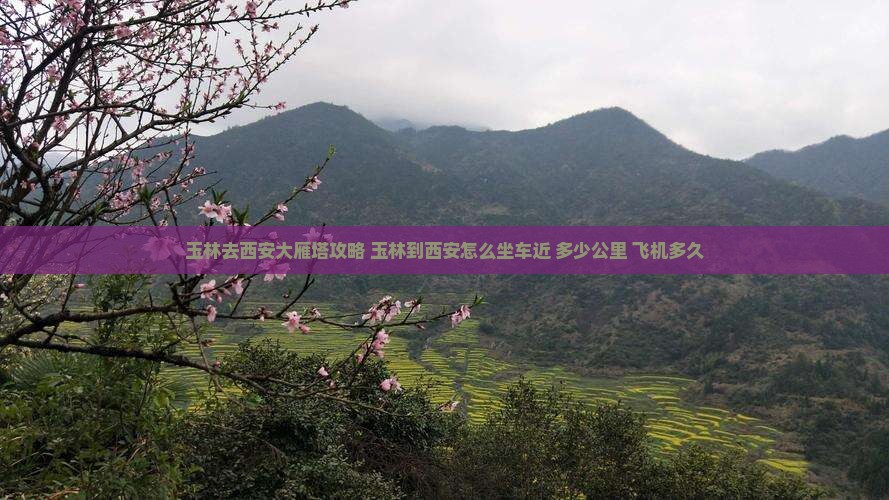 玉林去西安大雁塔攻略