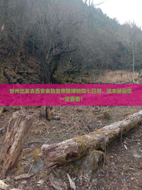 忻州去西安秦始皇帝陵博物院七日游