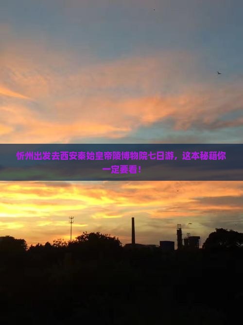 忻州去西安秦始皇帝陵博物院七日游