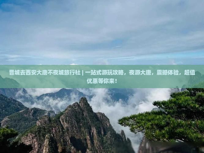 晋城去西安大唐不夜城旅行社