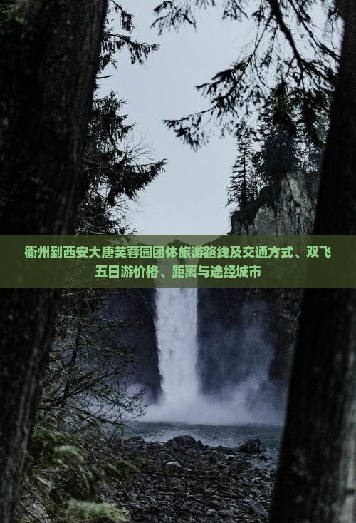 衢州到西安大唐芙蓉园团体旅游