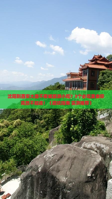 沈阳到西安大唐不夜城旅游小吃
