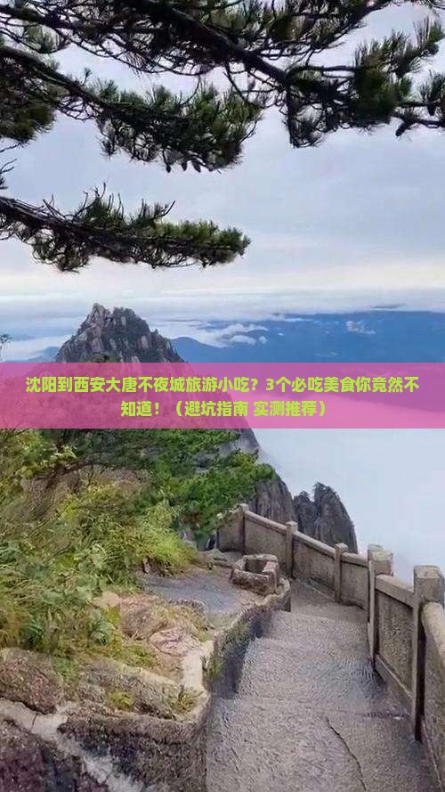 沈阳到西安大唐不夜城旅游小吃