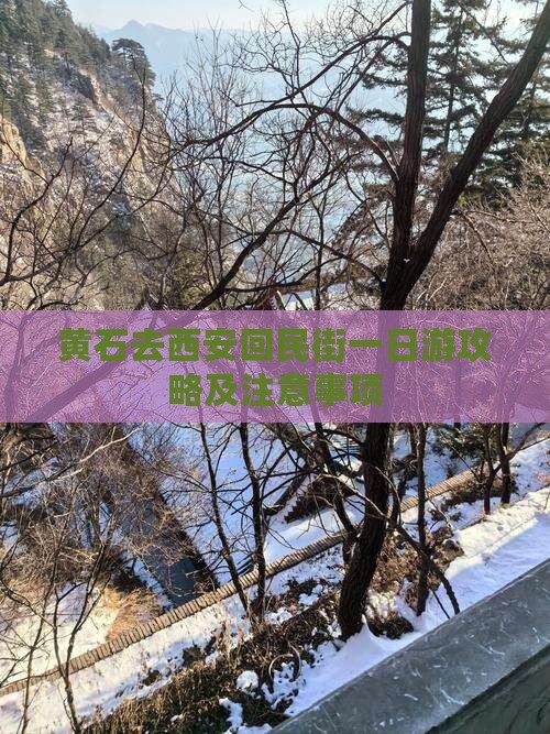 黄石去西安回民街一日游