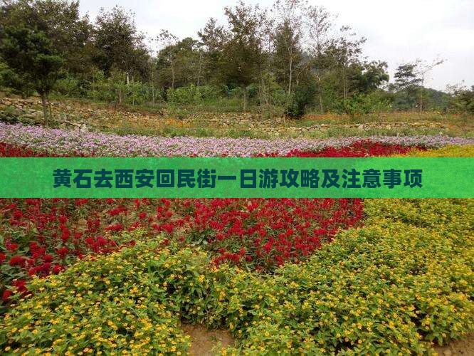 黄石去西安回民街一日游