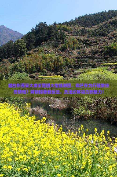 烟台到西安大唐芙蓉园大型旅游团