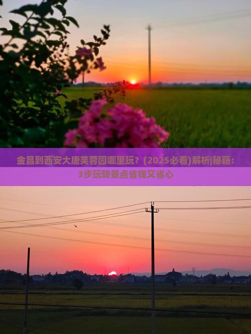 金昌到西安大唐芙蓉园哪里玩 金昌到西安大唐芙蓉园哪里玩