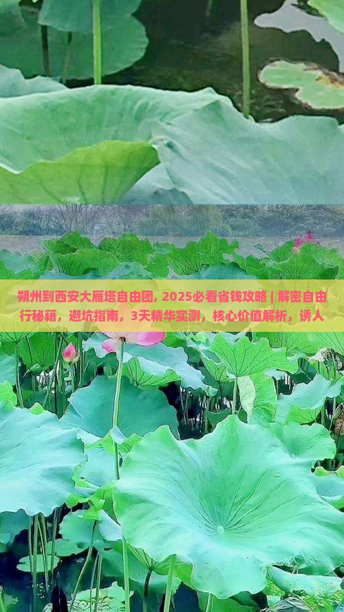 朔州到西安大雁塔自由团