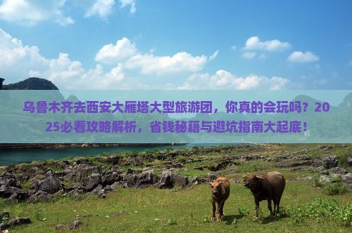 乌鲁木齐去西安大雁塔大型旅游团 乌鲁木齐去西安大雁塔大型旅游团