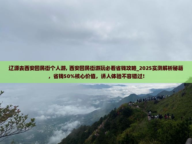 辽源去西安回民街个人游
