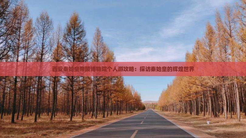 金昌到西安秦始皇帝陵博物院个人游
