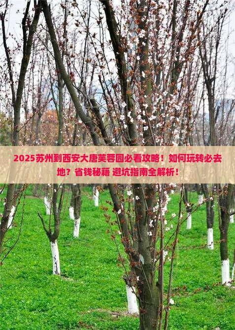 苏州到西安大唐芙蓉园必去地