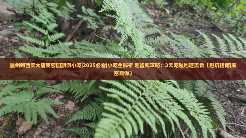 温州到西安大唐芙蓉园旅游小吃