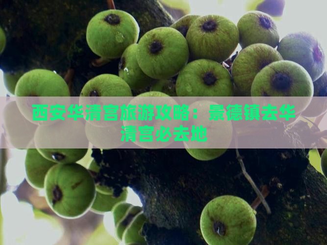 景德镇去西安华清宫必去地