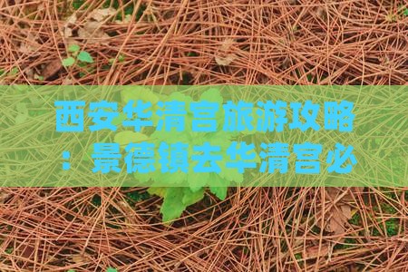 景德镇去西安华清宫必去地