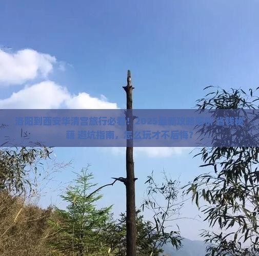 洛阳到西安华清宫旅行社