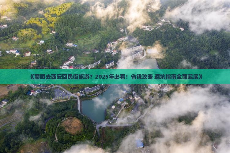 醴陵去西安回民街旅游